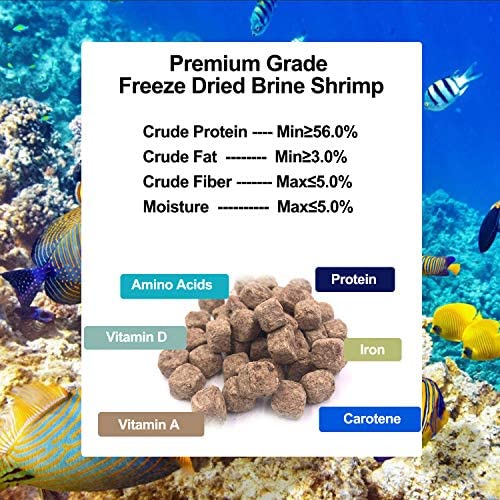 Amzey 2 Pack 0.45 oz Freeze Dried Brine Shrimp - 100% Natural High Protein Fish Food for Betta, Goldfish, Cichlid, Guppy, Turtle - Ideal for Aquarium, Fish Tank & Pond Feeding - 0.9 oz Total