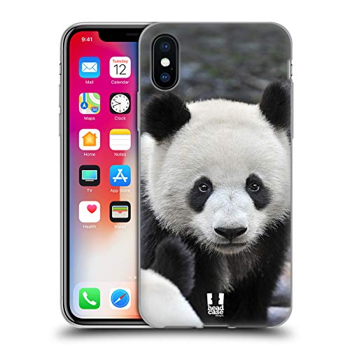 Close-Up Panda