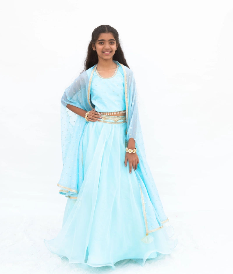 Pre Order: Blue Embroidered Chindi Lehenga Set with Cape - Traditional Indian Bridal Wear for Weddings & Festivals
