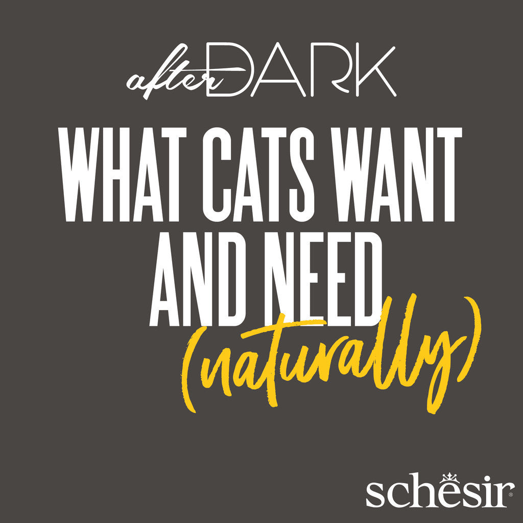 Schesir After Dark Complete & Balanced Wet Cat Food for Adult Cats - 80g, High Protein with Essential Vitamins & Minerals - Perfect for Nighttime Feeding & Weight Management
