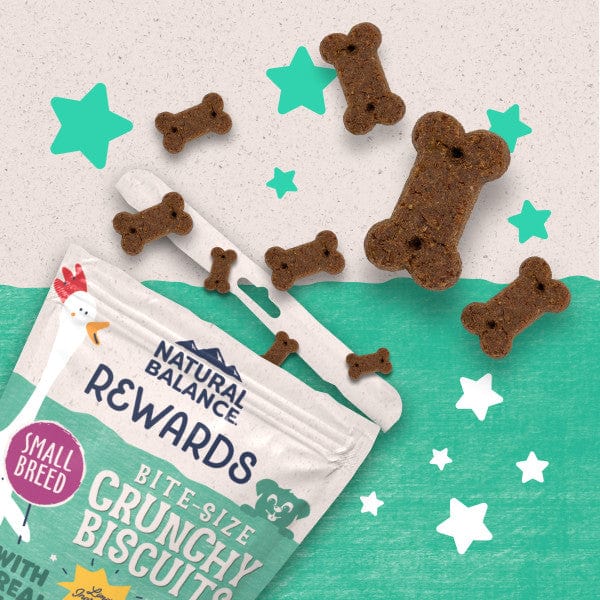 Natural Balance Crunchy Dog Biscuits with Real Chicken - Small Breed Recipe, 8oz - Healthy Treats for Training & Rewarding Your Pet