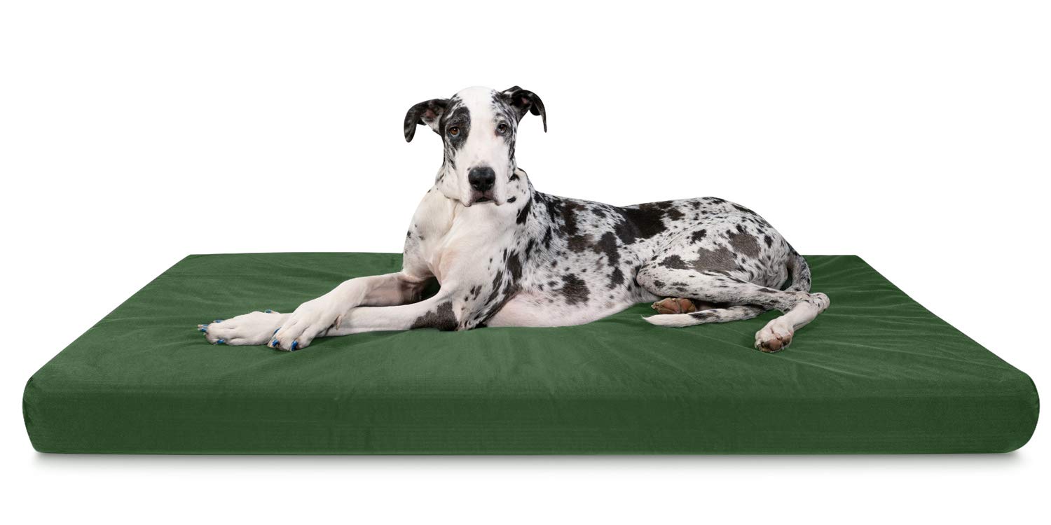 K9 Ballistics XX-Large Orthopedic Dog Bed - Chew Proof & Washable for Big Dogs - Home & Kennel Use