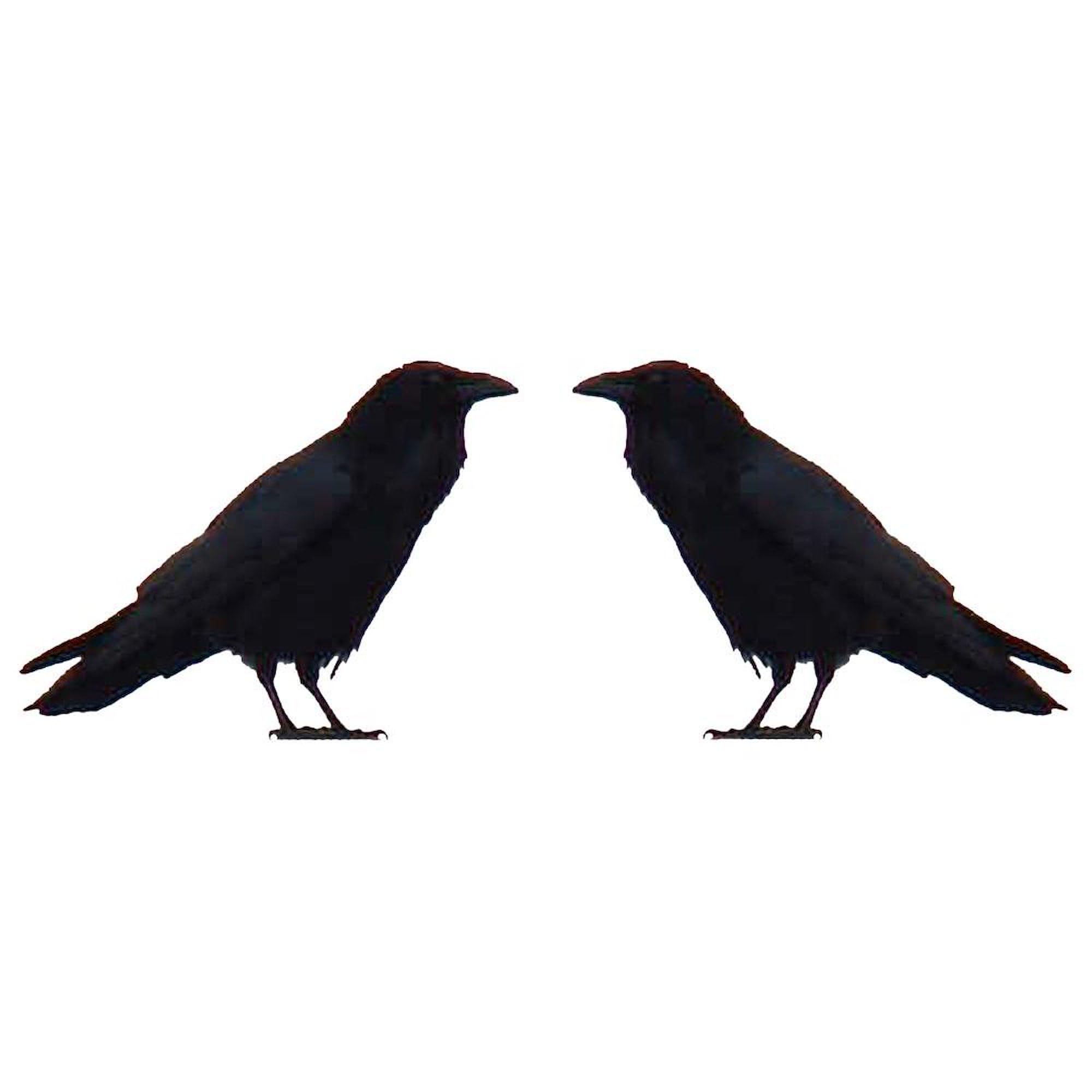 Crow Pair Large Coffee Mug - 15 oz White Ceramic Cup for Hot & Cold Drinks - Perfect for Home, Office, or Gift Giving