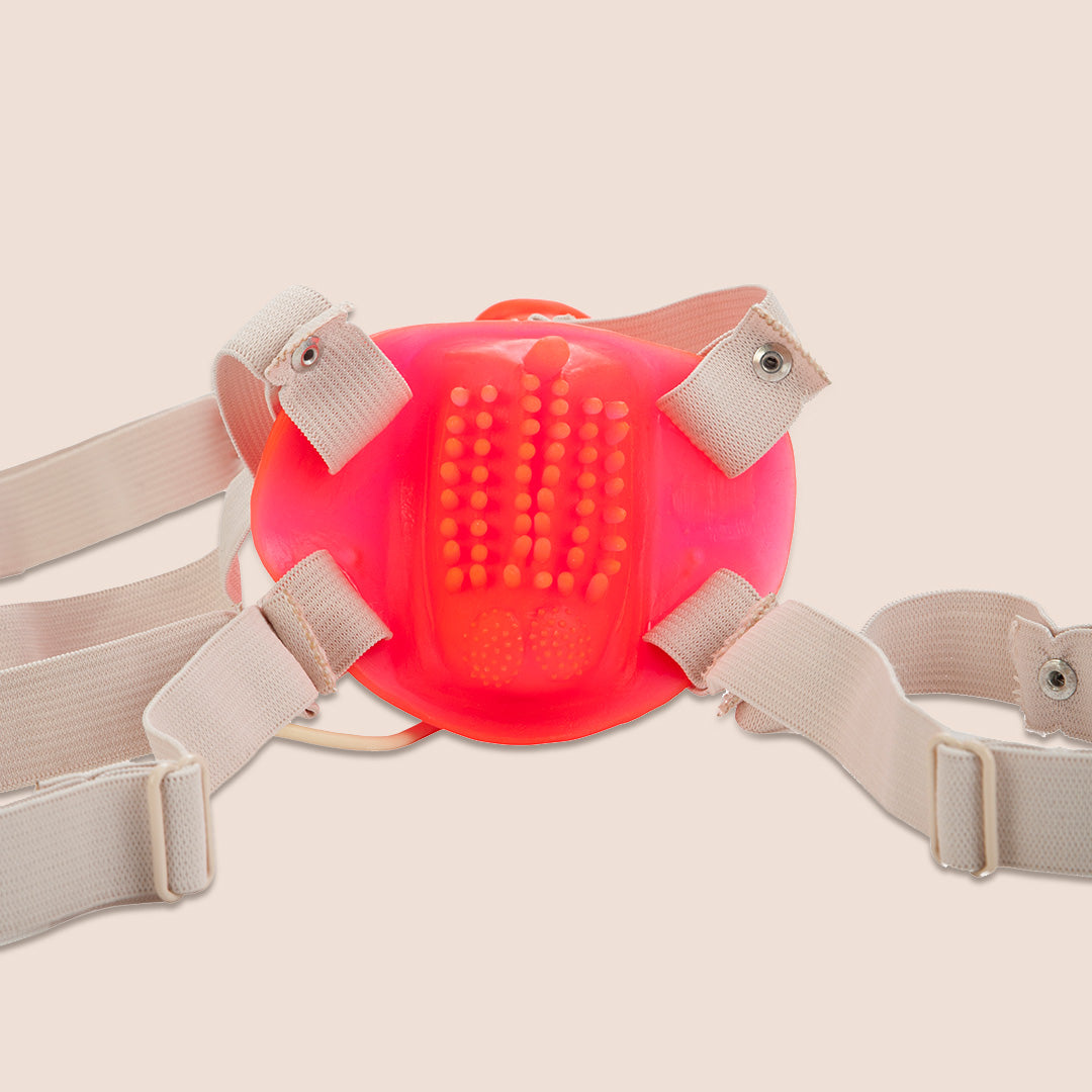 CalExotics Betty's Jelly Bumble Bee Strap-On Harness Kit - Ultra Soft Adjustable Adult Toy for Couples & Solo Play - Perfect for Roleplay, BDSM & LGBTQ+ Exploration