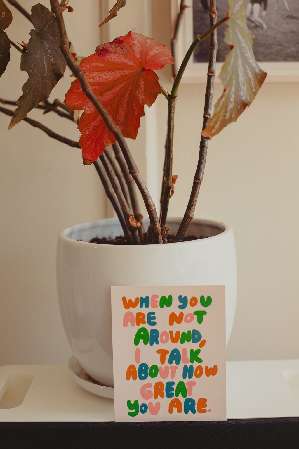 I Appreciate You Postcard Deck - 50 Thank You Cards with Inspirational Quotes for Friends, Family & Coworkers - Perfect for Gratitude Gifts, Office Appreciation & Special Occasions