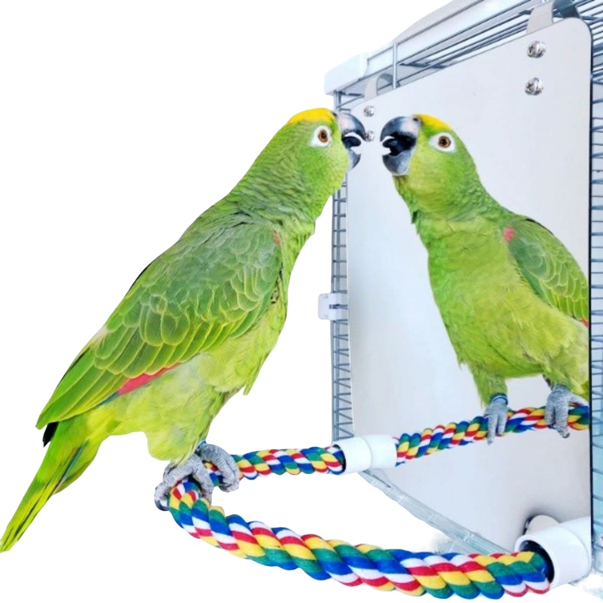 Stainless Steel & Acrylic Bird Mirror with Colorful Cotton Rope Perch for Finches, Cockatiels, Parrots, Conures, Lovebirds, Canaries - Perfect for Bird Cages, Aviaries & Play Gyms