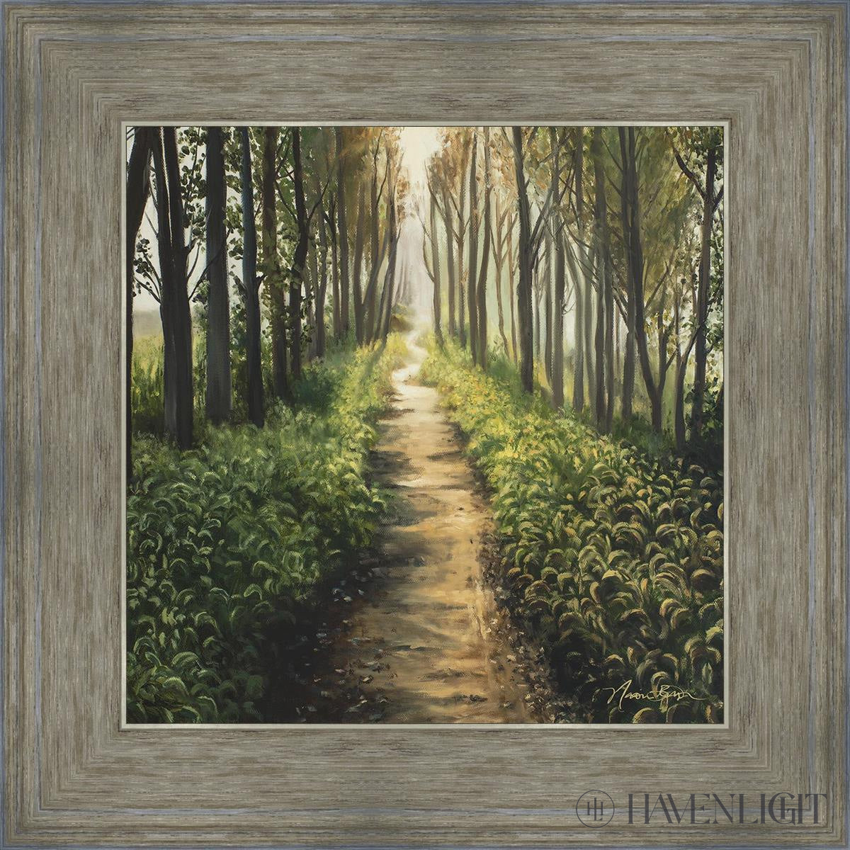 Forest Walkway - Beautiful Wooden Pathway for Gardens, Parks & Trails | Perfect for Outdoor Decor & Nature Walks