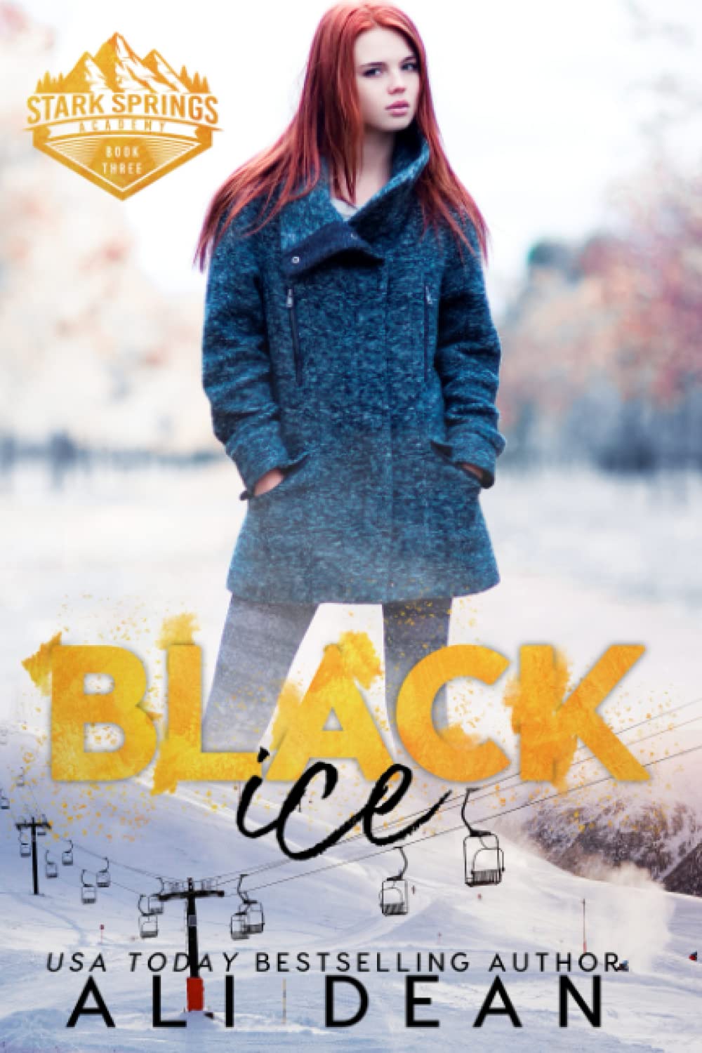 Black Ice (Stark Springs Academy) - YA Mystery Thriller Novel for Teens - Perfect for School Reading & Book Club Discussions