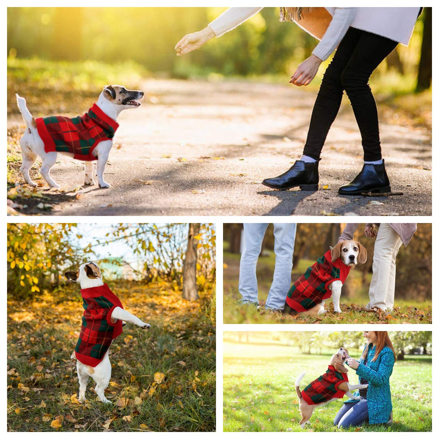 QBLEEV Medium Dog Sweaters for Small Dogs - Warm Winter Knit Pullover Vest for Puppies | Soft Thick Fall & Christmas Pet Clothing | Cozy Dog Sweatshirt for Male & Female Dogs - Perfect for Holiday Photos, Winter Walks & Indoor Comfort