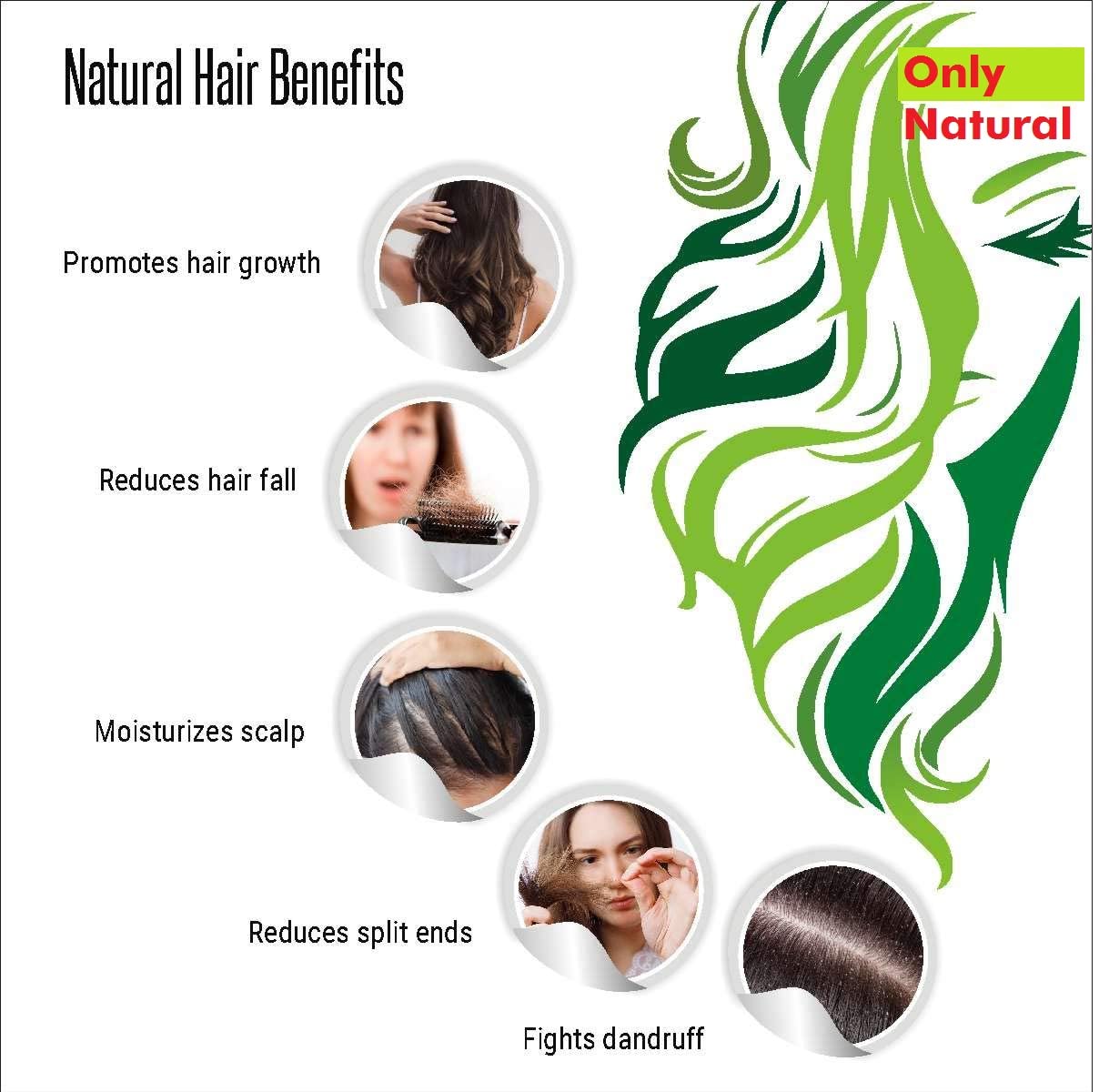 **Aayush Herbal Bhringraj Powder 100g - Natural Hair Growth & Conditioning Treatment for Thicker, Stronger Hair - Promotes Scalp Health & Reduces Hair Fall - Ideal for DIY Hair Masks & Ayurvedic Hair Care**