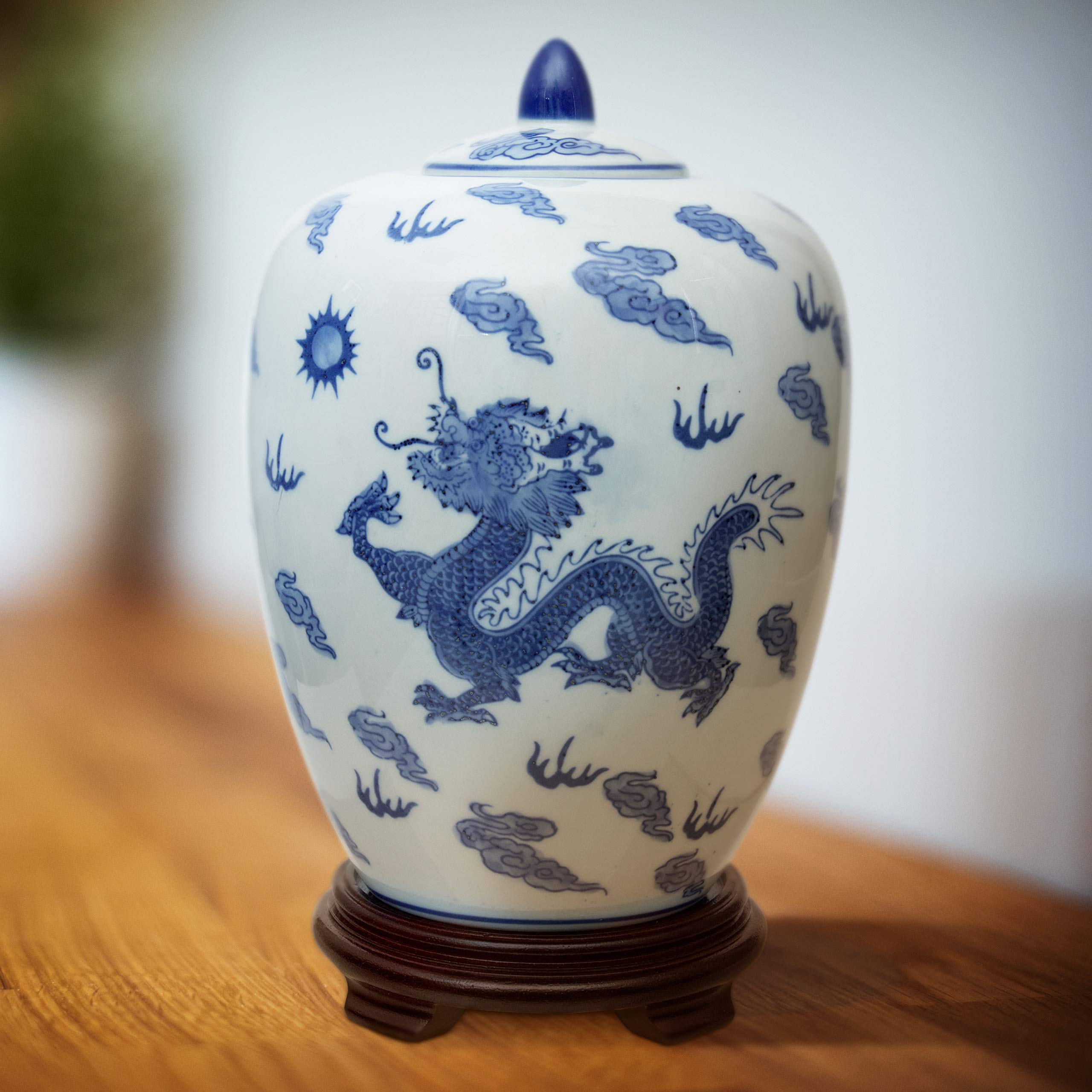Blue and White Porcelain Dragon Vase - 11