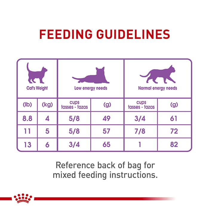 Royal Canin Appetite Control Spayed/Neutered Dry Cat Food for Adult Cats - 6 lb Bag - Weight Management Kibble for Indoor Cats with Reduced Activity
