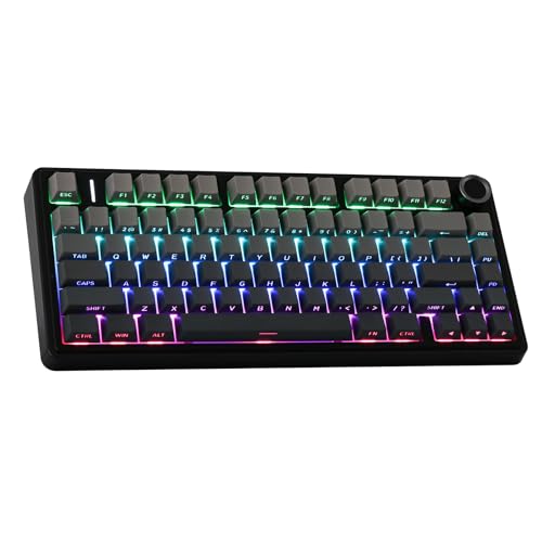 Black Gradient