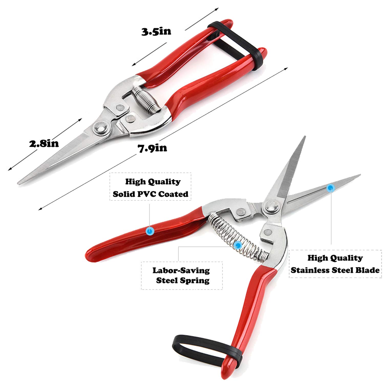 Premium Stainless Steel SK5 Pruning Shears - Straight Tip Garden Shears, Florist Scissors & Hand Pruners for Trimming Plants, Flowers, and Shrubs | Ideal for Gardening, Landscaping, and Floral Arrangements