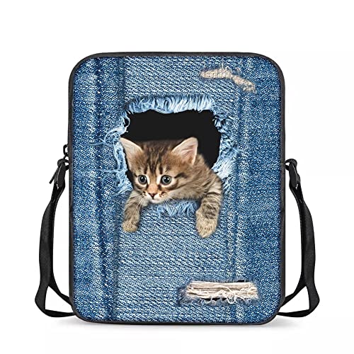 Denim Cat