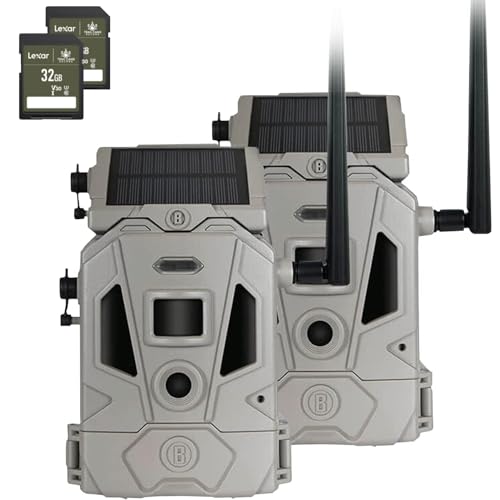 2 PK + 2 SD Cards