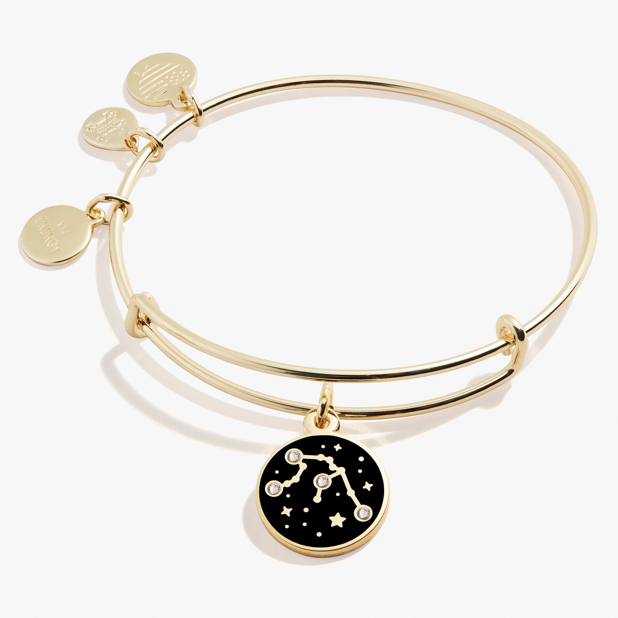 Aquarius Zodiac Charm Bracelet - Sterling Silver Adjustable Bangle for Women - Perfect for Birthday Gifts, Daily Wear & Astrology Lovers