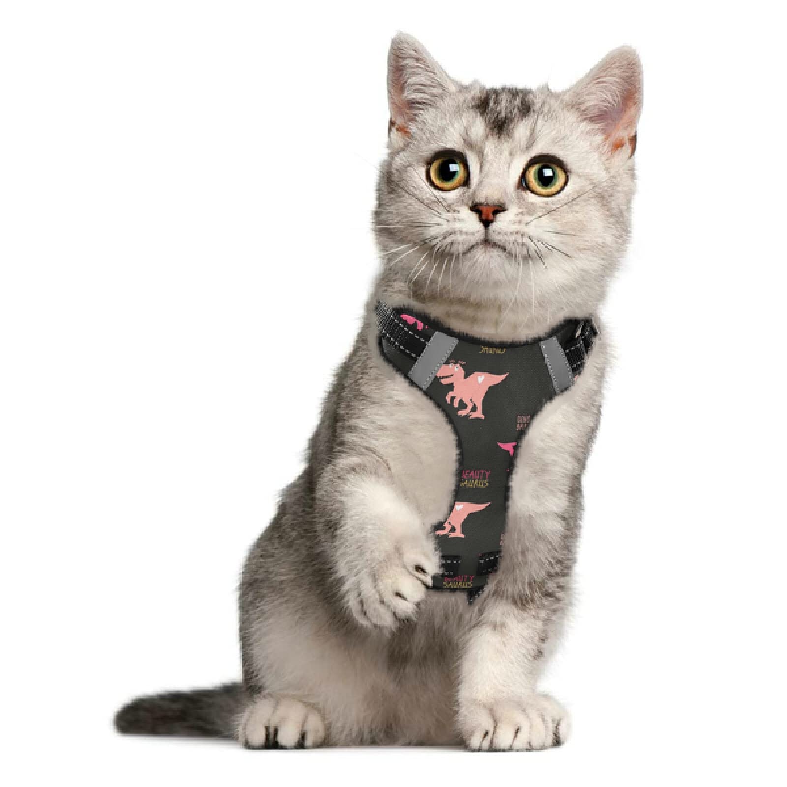 Dinosaur Dog Harness No Pull Pet Vest - Reflective Breathable Small & Medium Dog Harness with Nylon Handle for Walking, Hiking & Outdoor Adventures