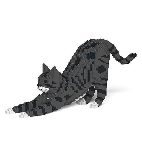 Dark Grey Tabby