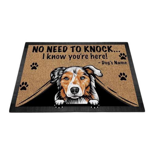 Australian Shepherd-1