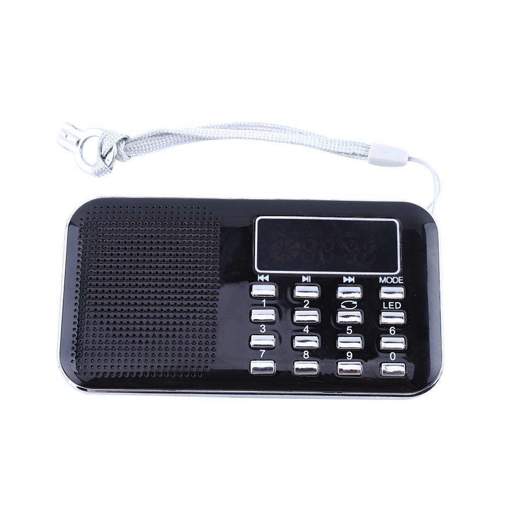 ASHATA Portable Digital AM/FM Radio with LCD Display | Strong Reception Stereo Speaker | Supports TF Card/Micro SD/USB/AUX | Perfect for Home, Office, Travel & Emergency Use