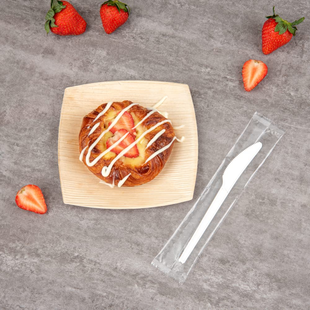 6.5 Inch Compostable Knives - 250 Individually Wrapped Plant-Based Cutlery Set | BPI-Certified CPLA Disposable Silverware for Hot & Cold Foods | Eco-Friendly Restaurantware for Parties, Picnics & Catering