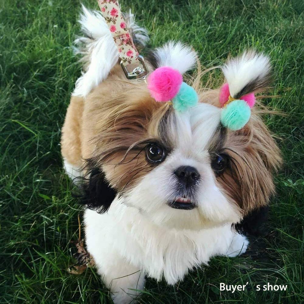 **Colorful Small Dog Bows with Ball Design - 24pcs Pet Grooming Hair Accessories for Puppies, 0.78