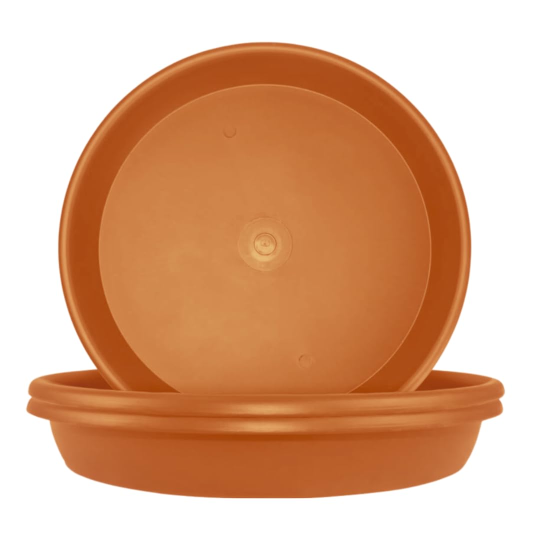 The Secret to a Lush Garden: Elly Décor's Modern Planter Saucers