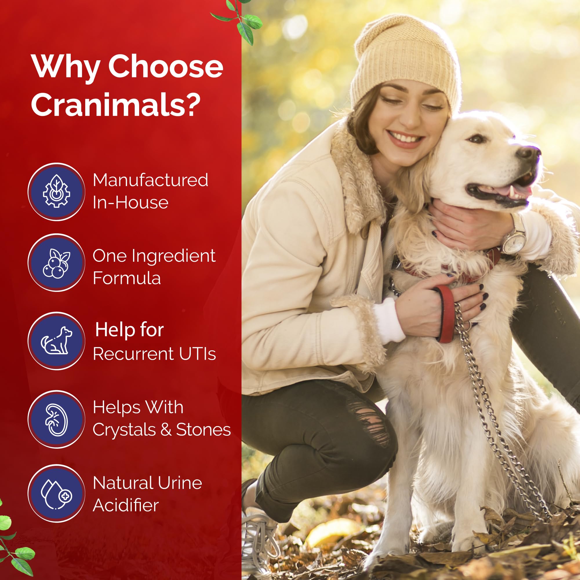 Organic Cranberry Powder for Dogs - UTI Supplement & Urinary Tract Health Support (6 Month Supply) - Prevents UTIs, Incontinence & Struvite Stones - Natural Alternative to Antibiotics & Prescription Diets - Vet Recommended for Senior Dogs & Pets with Recurrent Bladder Issues - Perfect for Daily Mixing in Food or Water