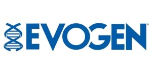 Evogen Amino K.E.M. - EAA & BCAA Powder Pump Volumizer | Essential Amino Acids Supplement for Muscle Growth, Hydration & Blood Flow | Blueberry Apple Flavor | 30 Servings | Pre-Workout & Post-Recovery Drink for Athletes & Fitness Enthusiasts