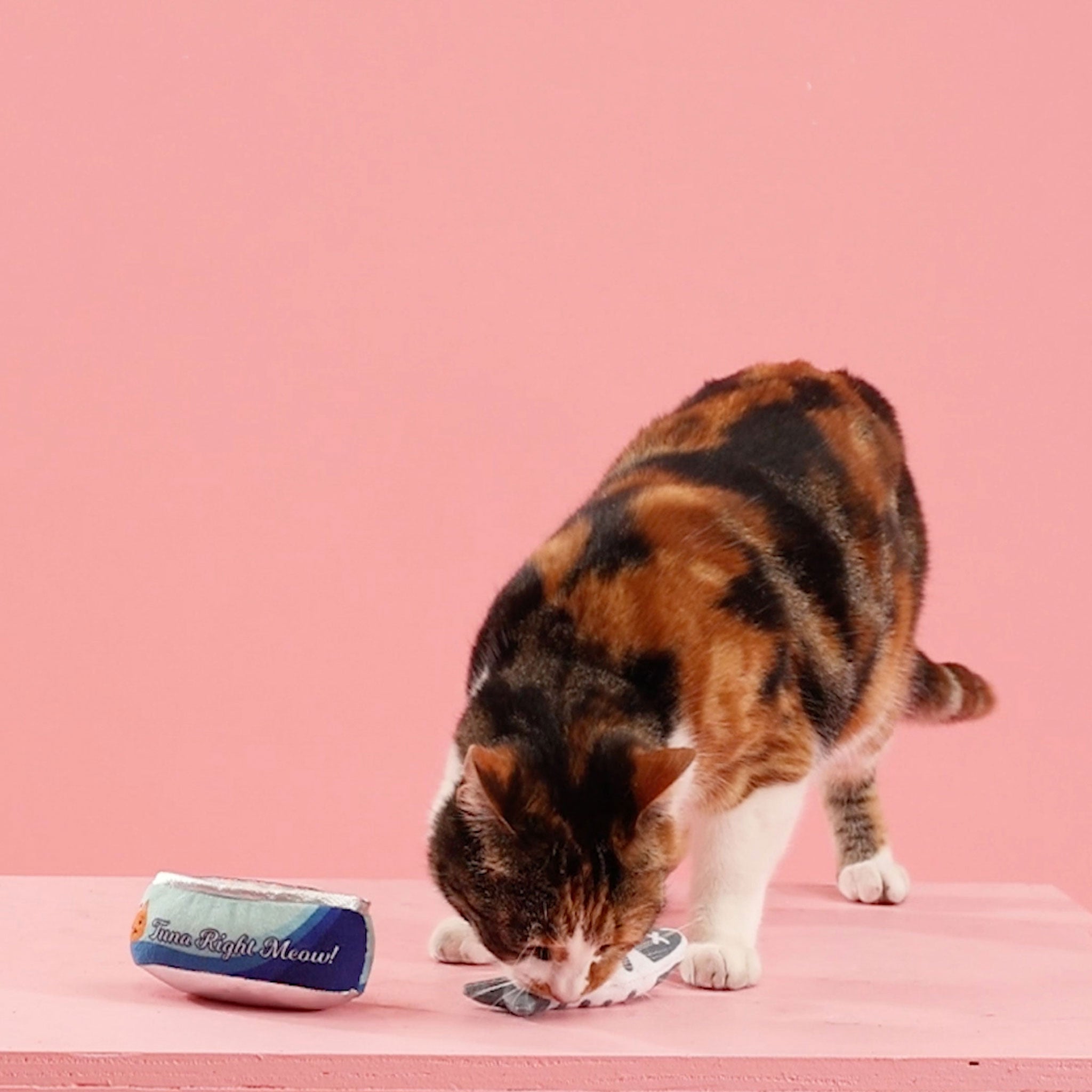 Fringe Tuna Right Meow Interactive Cat Toy - Multi-Cat Play with Feathers & Bells - Perfect for Indoor Cats Playtime & Exercise