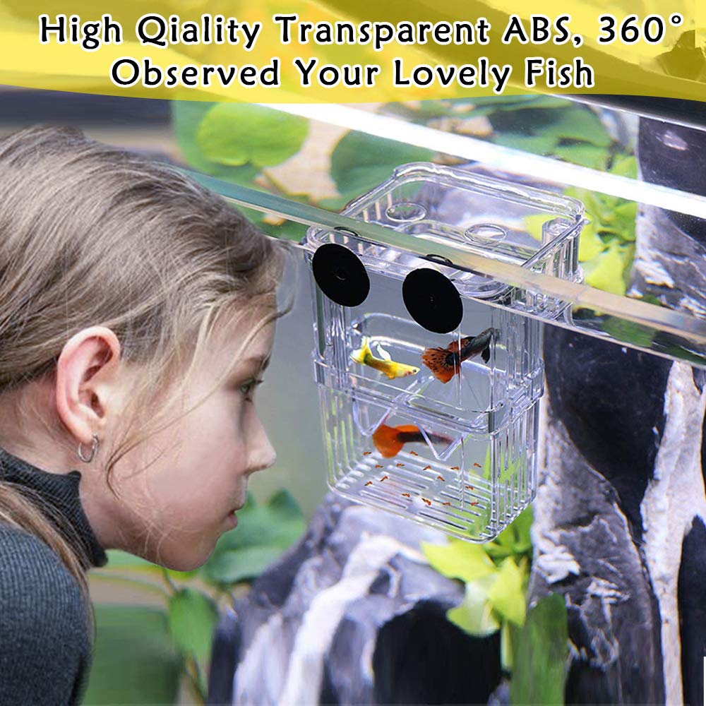NETUEM Acrylic Double Layer Fish Breeding Box - Floating Isolation Hatchery for Guppy, Tropical Fish & Fry | L Size with Suction Cups | Ideal for Aquarium Fish Breeding, Fry Protection & Tank Division