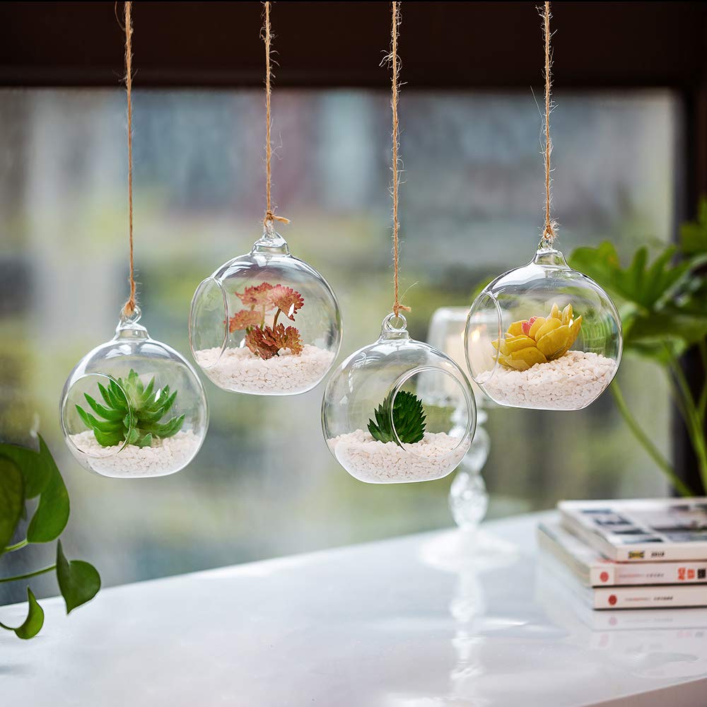 4 Pcs Hanging Glass Terrarium Planters - 4