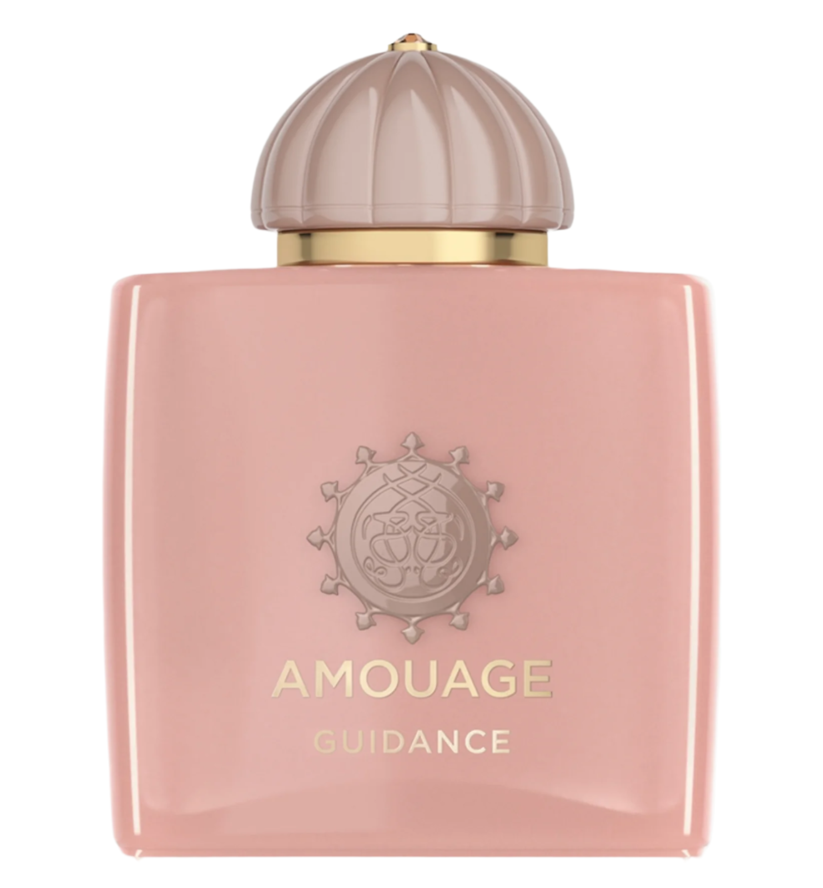 Amouage Guidance Eau de Parfum Spray for Women & Men - Luxury Unisex Perfume for Date Night, Special Occasions & Everyday Elegance