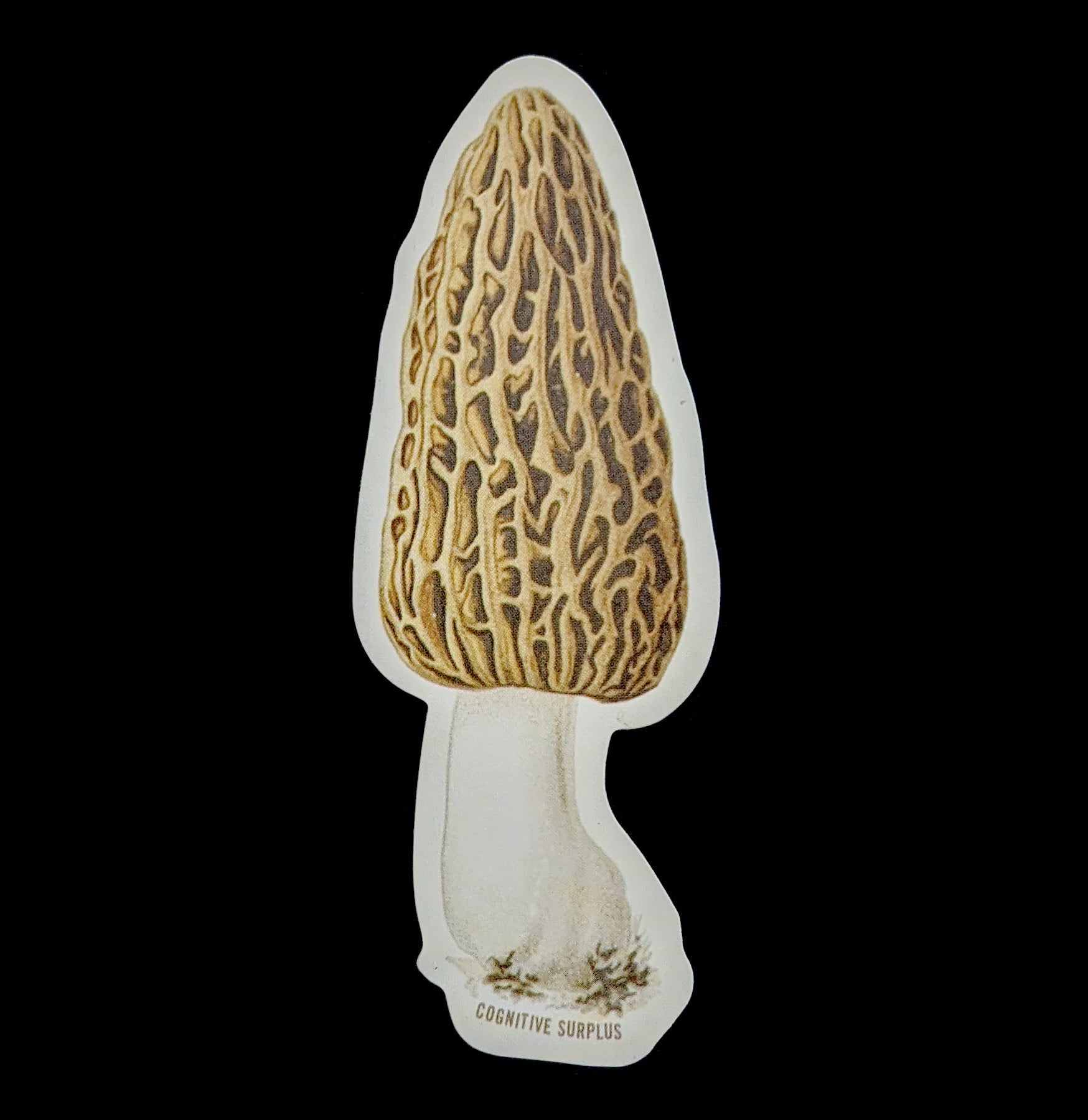 Premium Morel Mushroom Stickers - Waterproof Vinyl Decals for Laptops, Water Bottles & Outdoor Gear - Perfect for Nature Lovers & Foraging Enthusiasts