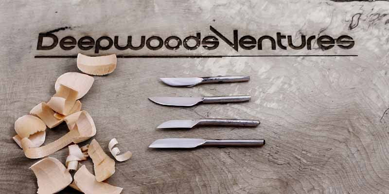 STRING BEANER Small Detail Carving Knife - Precision Vegetable Peeler & Garnishing Tool for Professional Chefs & Home Cooking