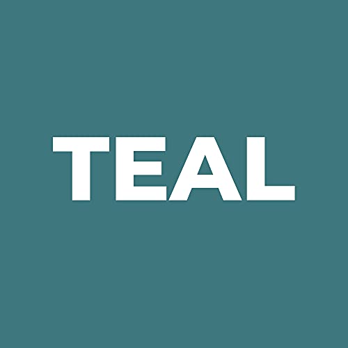 Teal 1 Pair (With Bonus Neck Gaiter)