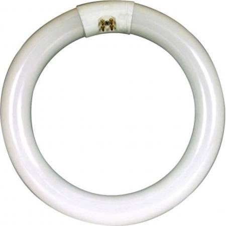 Feit Electric FC12T9/CW 32W T9 Circular Fluorescent Light Bulb - Cool White (4100K) for Kitchen, Bathroom, and Office Lighting