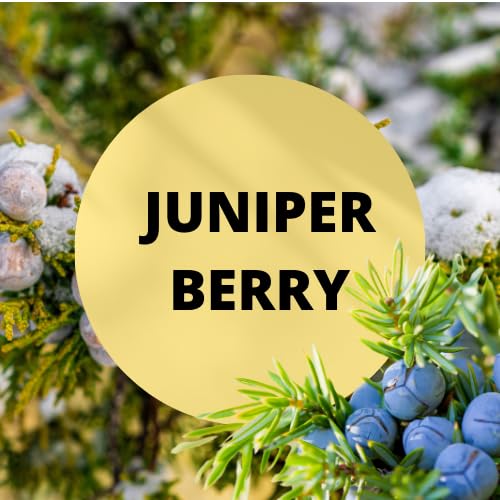 Black Canyon Juniper Berry Scented Body Lotion & Spray Set - Moisturizing & Fragrant Body Care for Women & Men | Perfect for Daily Hydration, Post-Shower Pampering & Aromatherapy Relaxation