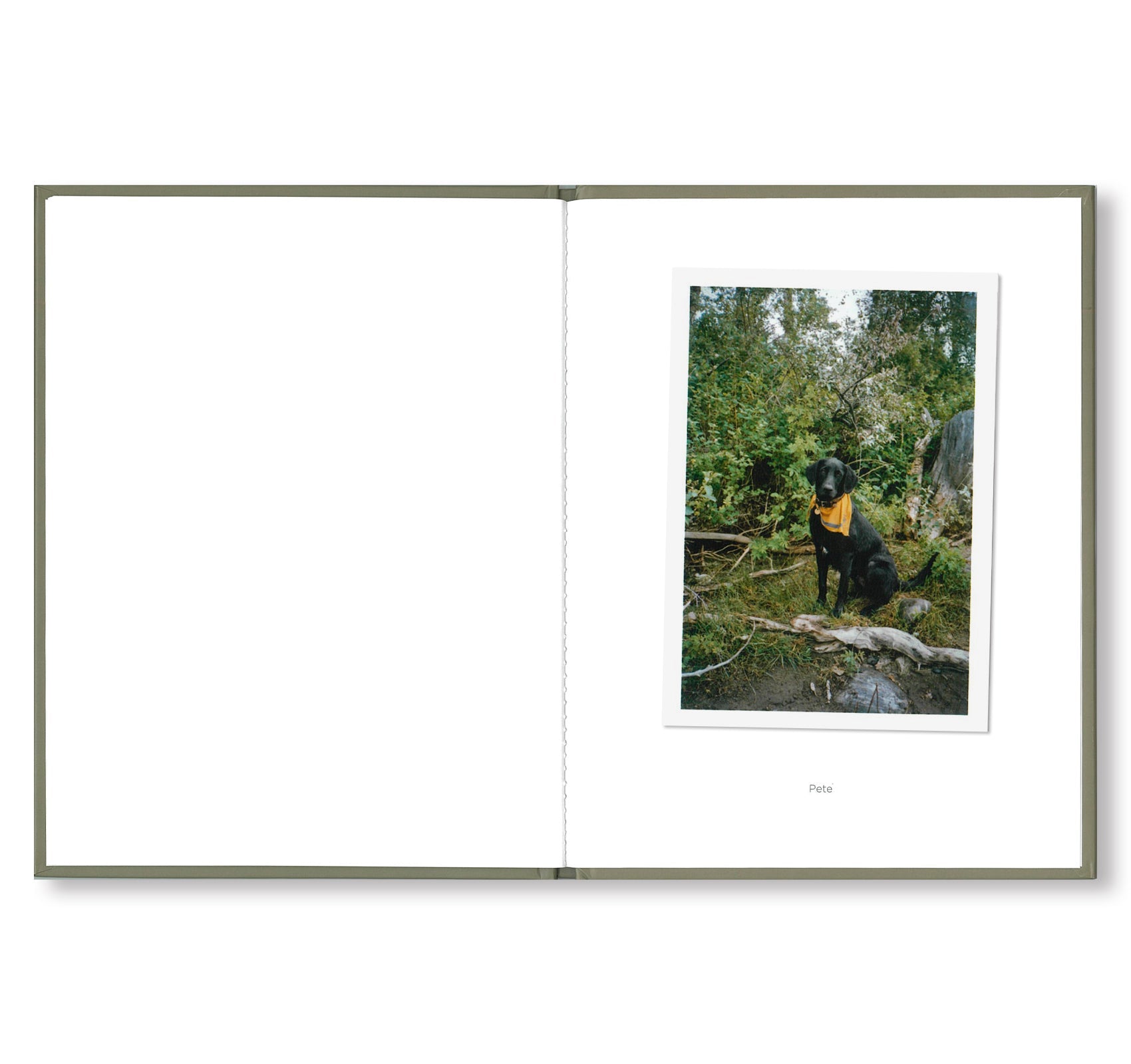 ONE PICTURE BOOK #73: PET PICTURES by Stephen Shore - Photography Art Book for Pet Lovers - Perfect for Home Decor, Coffee Table Display & Gift Giving