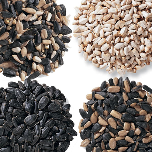 Duncraft Cardinal's Wild Bird Seed Sampler - 4 Pack Premium Wild Bird Food for Cardinals, Finches & Songbirds | Backyard Bird Feeding & Wildlife Attraction