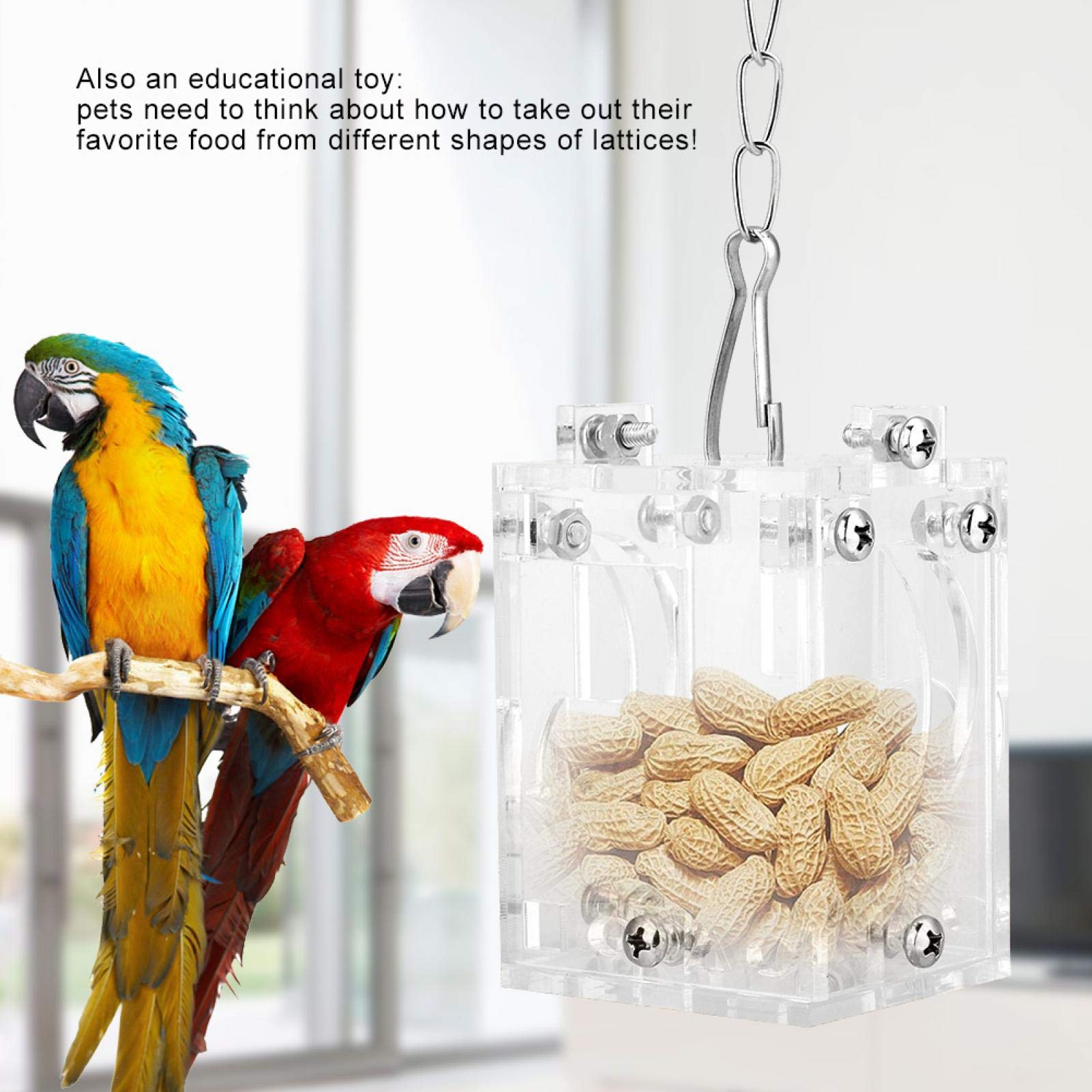 Acrylic Parrot Feeder & Puzzle Toys - Durable Food Basket for Small & Medium Birds Like Parakeets & Cockatiels | Perfect for Training, Enrichment & Feeding Time