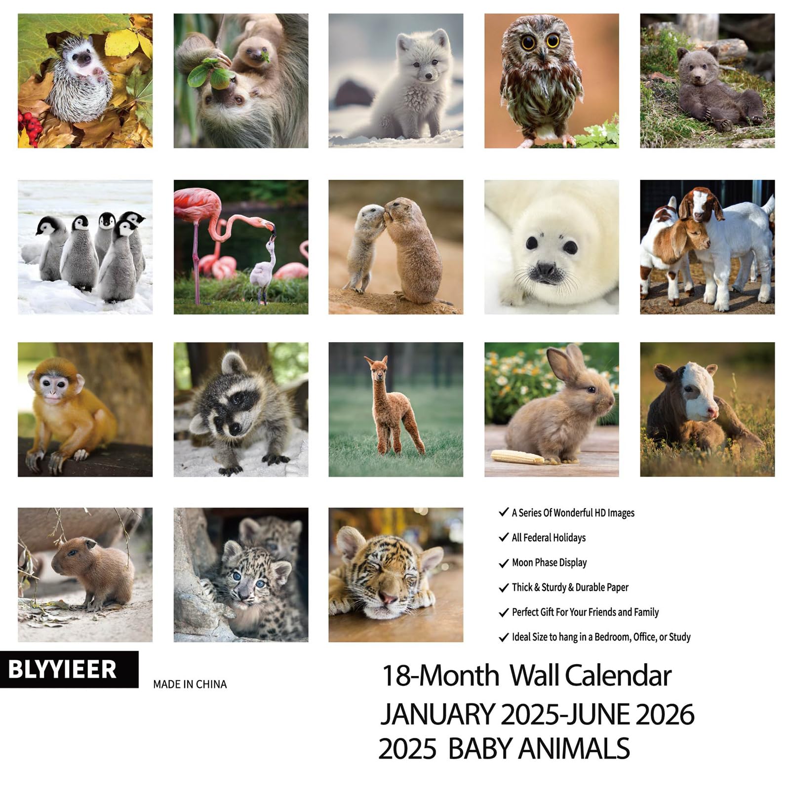 2025-2026 Baby Animals Wall Calendar - 18 Monthly Planner (12