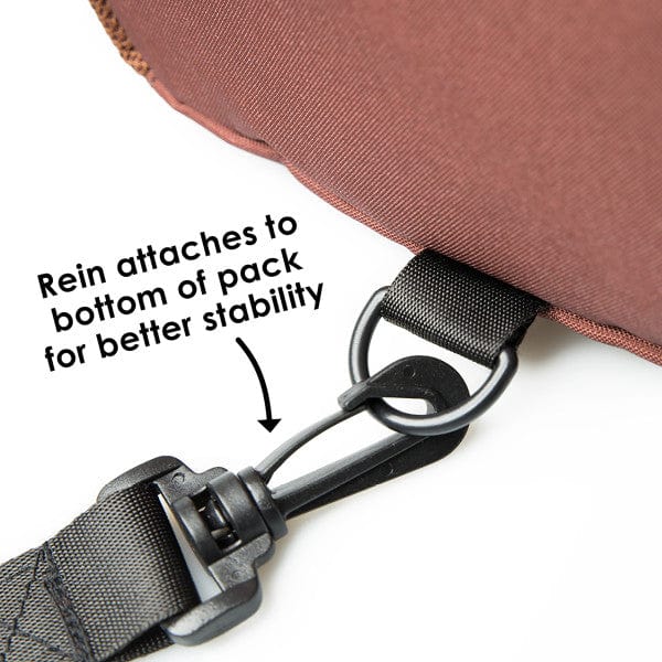 Diono Sure Steps Safety Reins and Backpack for Toddlers - Adjustable Child Harness with Leash for Walking, Travel & Shopping - Anti-Lost Backpack for Kids 1-3 Years Old