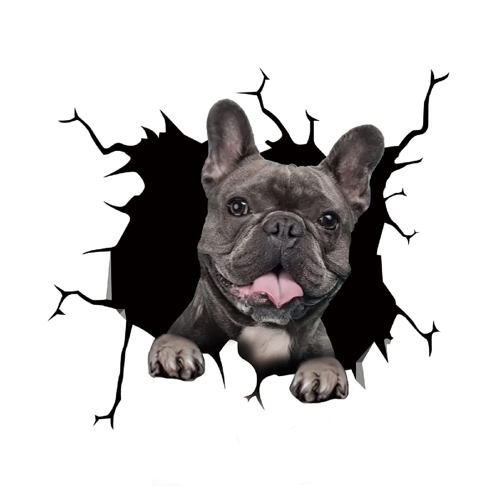 Personalized Dog Car Stickers - Funny Puppy Lover Window Decals for Pets