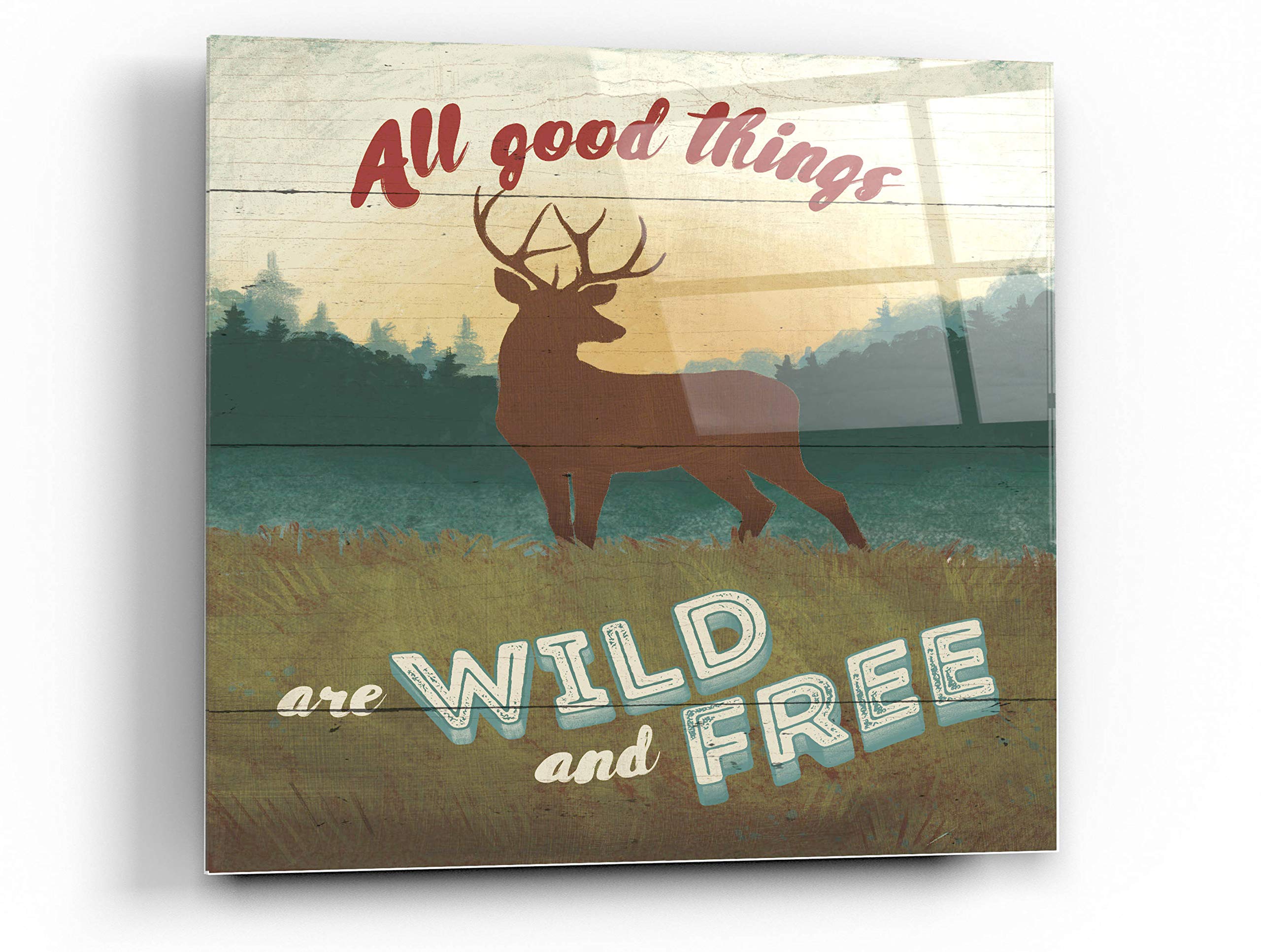 Epic Art 'Discover the Wild II' by Janelle Penner - 24x24 Inch Acrylic Glass Wall Art Painting - Modern Home & Office Decor for Living Room, Bedroom or Gallery Display