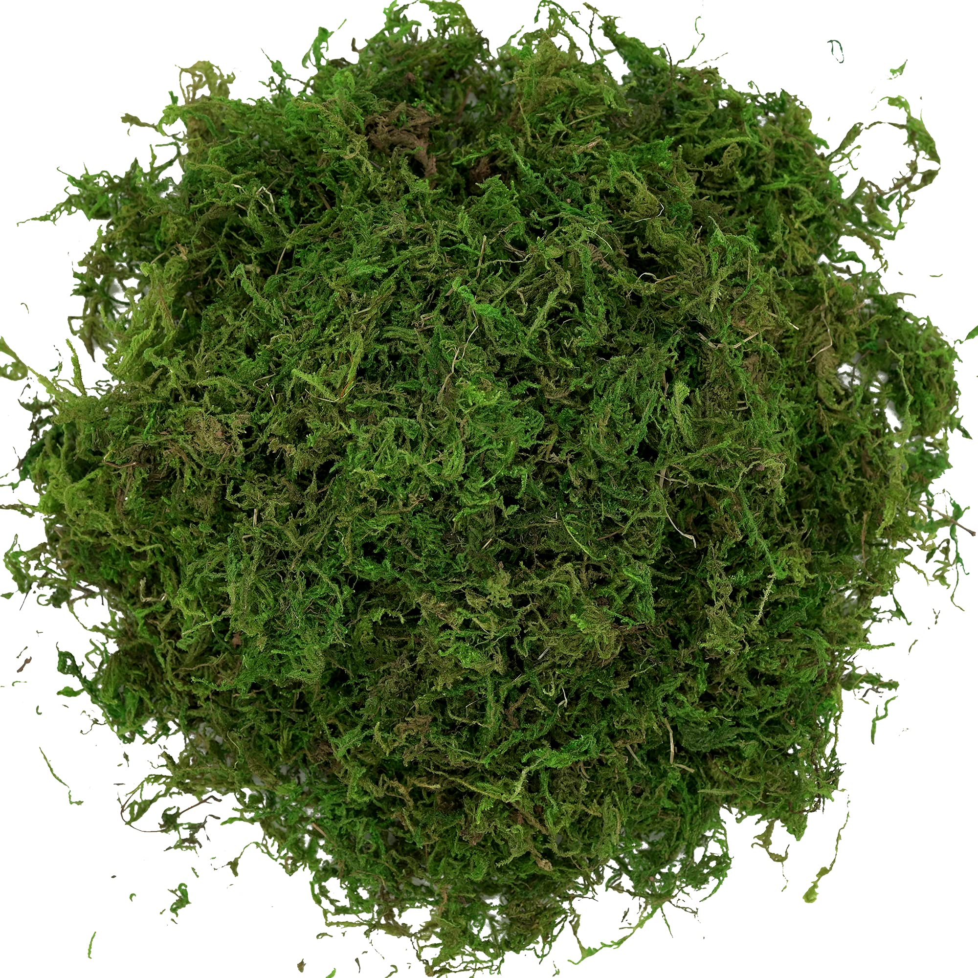 Usmola Artificial Fake Moss - 8OZ Realistic Green Craft Moss for Potted Plants, Centerpieces, Terrariums & DIY Home Decor - Perfect for Fairy Gardens, Floral Arrangements & Tabletop Displays