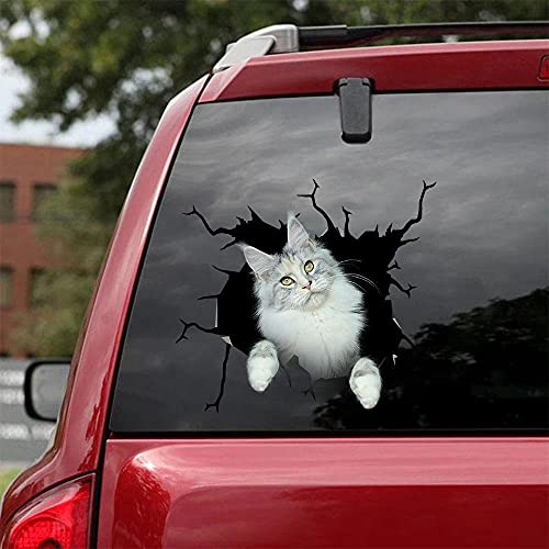 Cat Lover