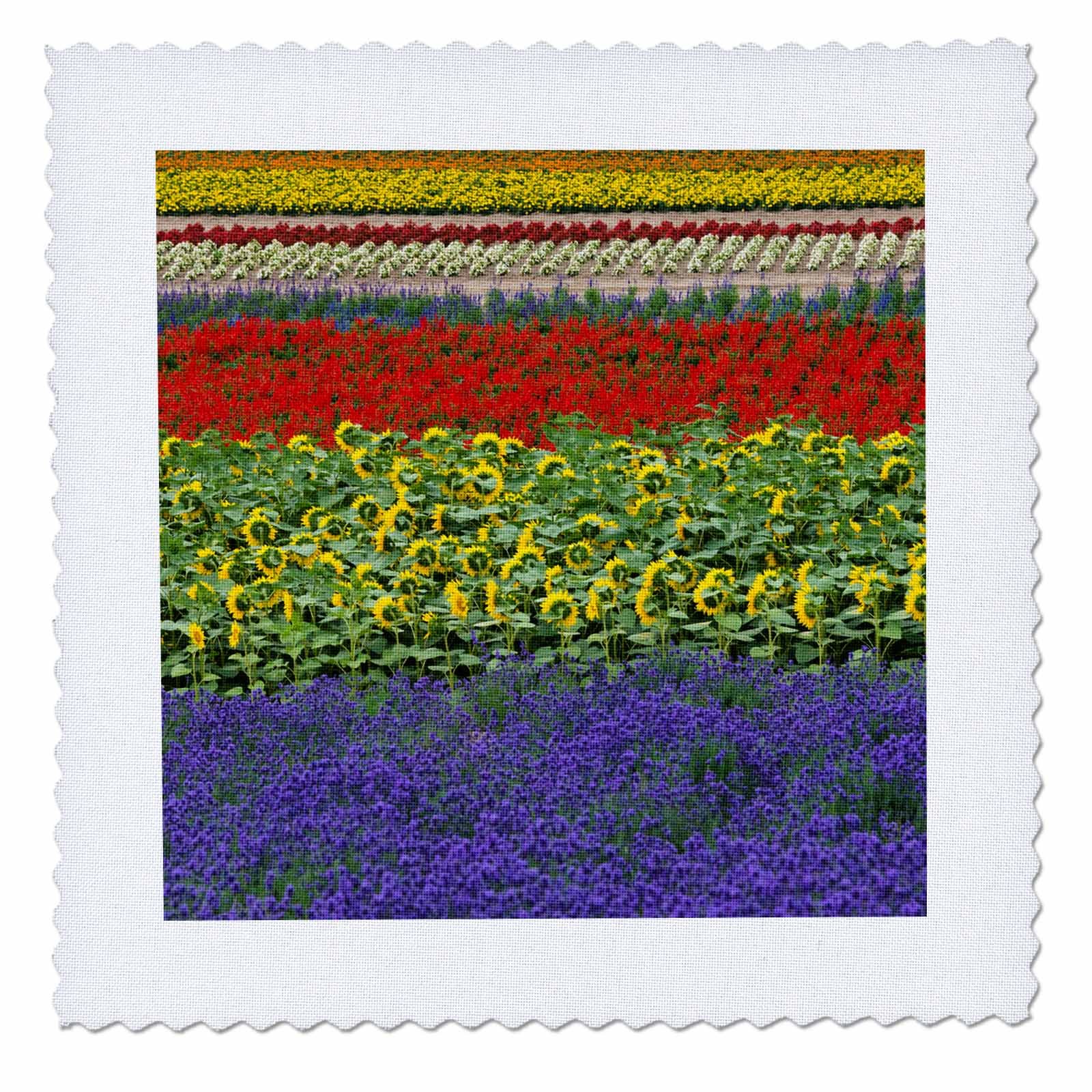 3D Rose Lavender Farm Furano Hokkaido Japan Square Quilt - 8x8 Inch Decorative Throw Blanket for Bedroom, Sofa & Home Decor