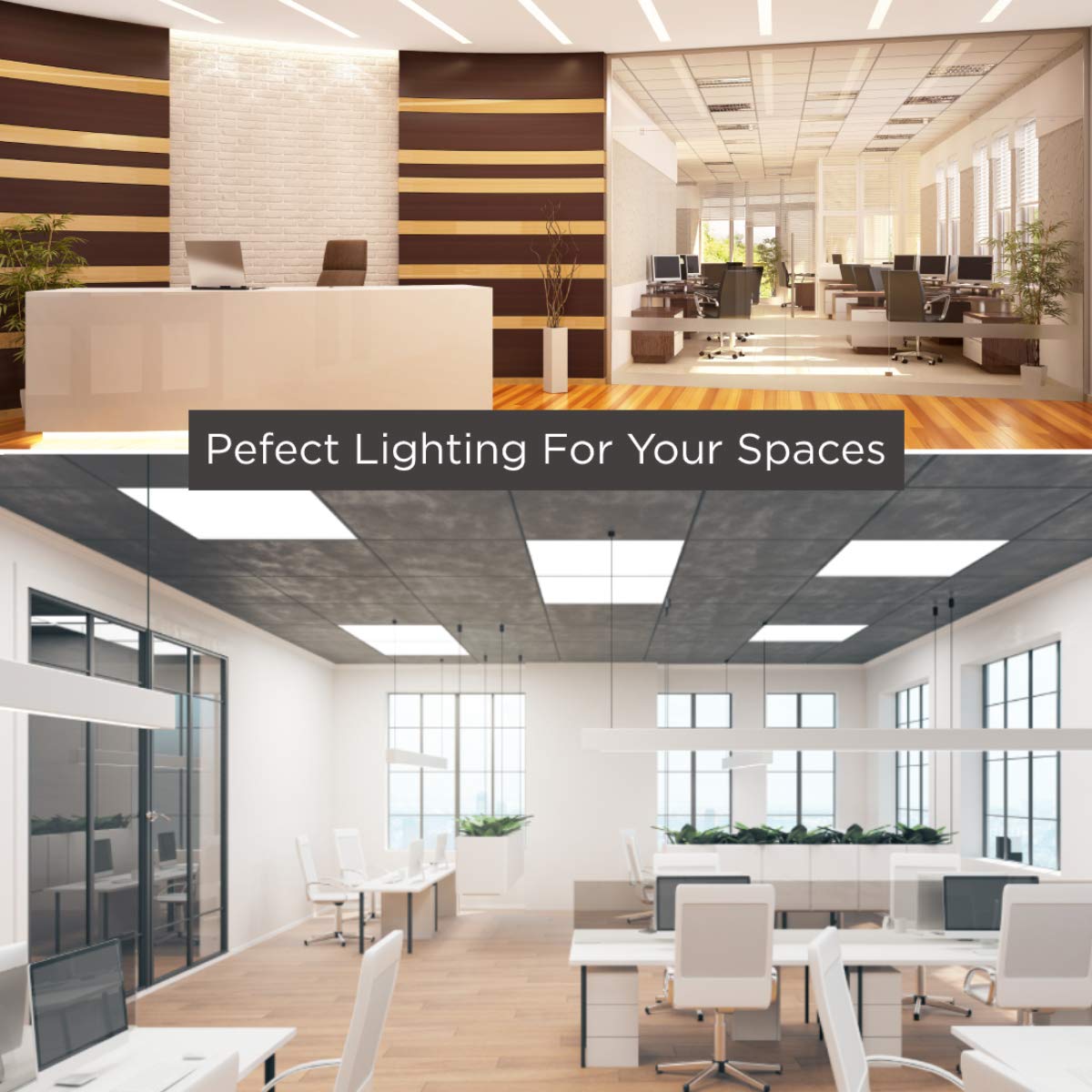 GoodBulb 4-Foot T8 LED Tube Lights - 10.5W (32W Equivalent), 5000K Daylight, 1800 Lumens, 83 CRI, Type A Plug & Play - Energy Efficient LED Bulbs for Offices, Warehouses, Garages & Commercial Lighting (Pack of 25)